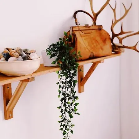 아파트 Beach 'de Drie Linden' 잔드보르트